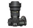 D810A